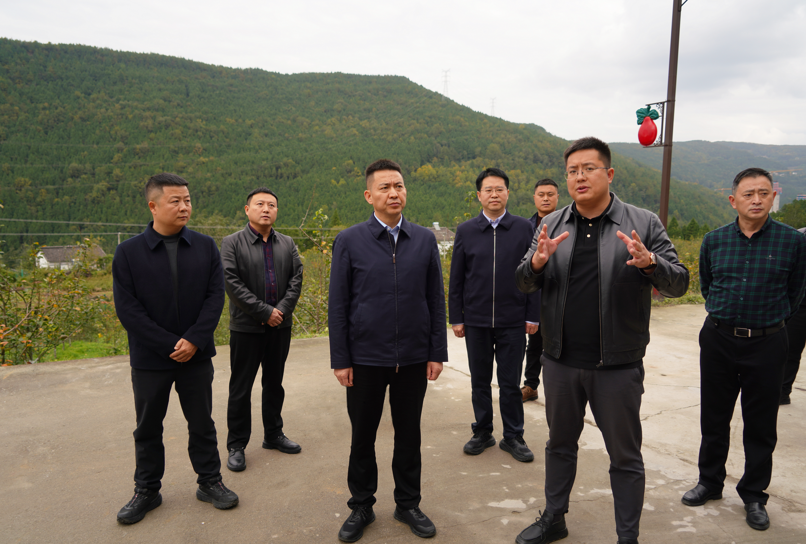 羅凌云到龍潭鄉、萬緣街道調研鞏固拓展脫貧攻堅成果同...